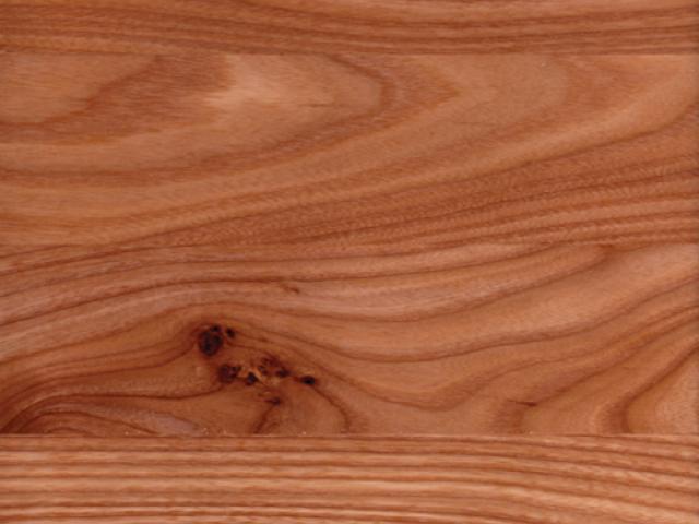 Red Elm|Root River Hardwoods|Wood Species