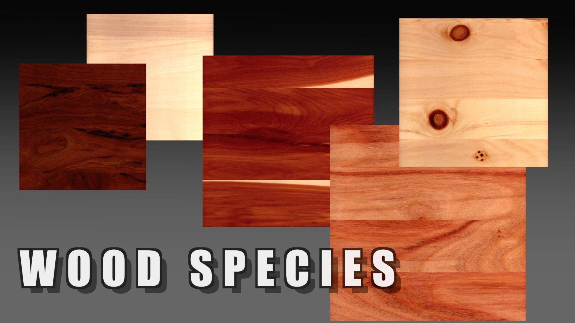Root River Hardwoods|Wood Species|