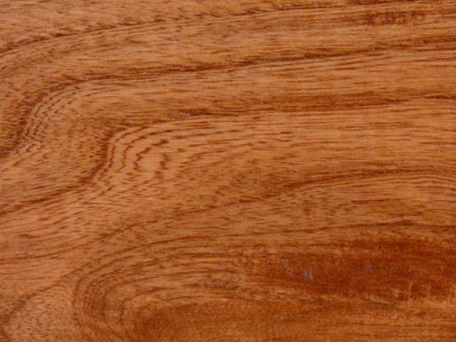 Hackberry Harvest Gold|Root River Hardwoods|Wood Stain Colors