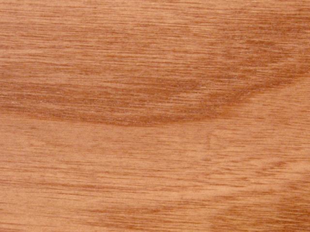 Red Elm Southern Blend|Root River Hardwoods|Wood Stain Colors