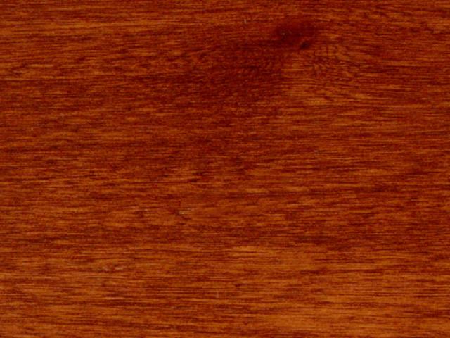 Grey Elm Amber Fawn|Root River Hardwoods|Wood Stain Colors