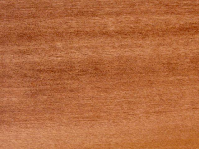 Yellow Poplar Southern Blend|Root River Hardwoods|Wood Stain Colors