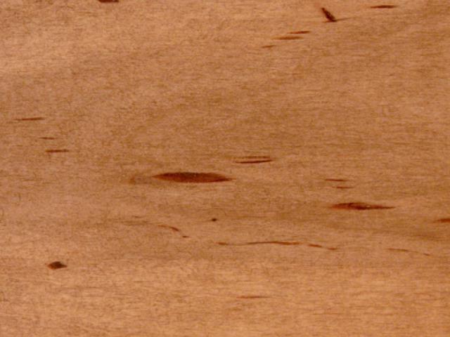 Natural Soft Maple Morning Dove|Root River Hardwoods|Wood Stain Colors