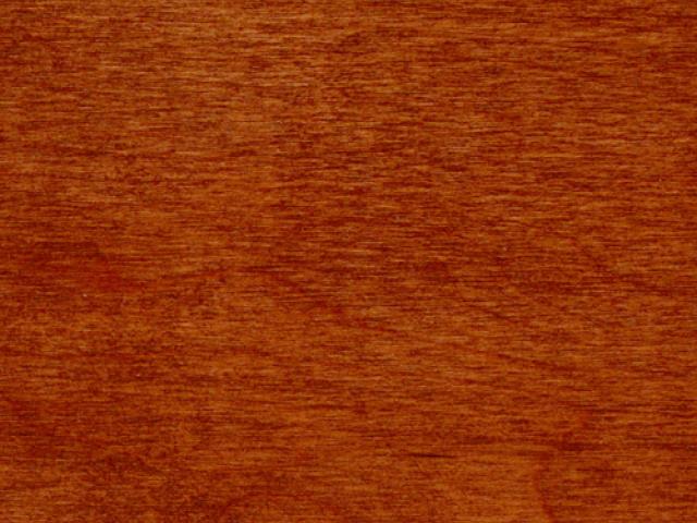 Natural Hardwood Maple Amber Fawn|Root River Hardwoods|Wood Stain Colors