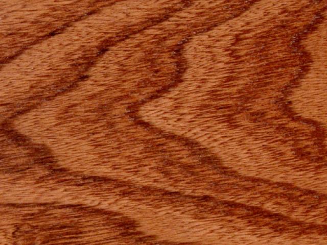 Red Elm Mission Oak|Root River Hardwoods|Stain Colors