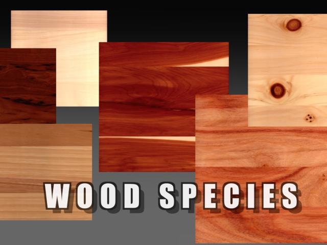 Wood Species|Root River Hardwoods