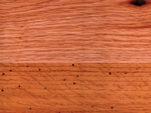 Rustic Red Oak|Root River Hardwoods|Wood Species